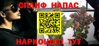 a pvp Свободный