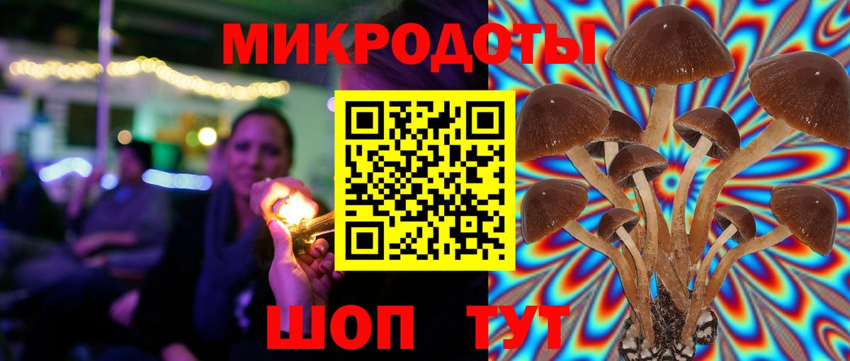 Сертолово  Псилоцибиновые грибы прущие грибы  Псилоцибиновые грибы Magic Shrooms  Вход с VPN 