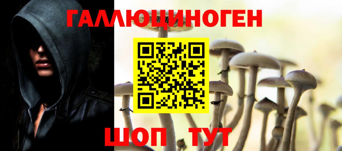 Бошки Шишки Сертолово